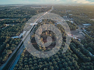 Arial shot of green alhasa