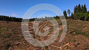 Arial view of deforestation and Illegal logging in forest. Cutting trees. â€‹Stacks of cut wood. Wood logs, timber logging.