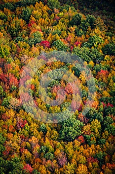 Arial view of Fall in New England