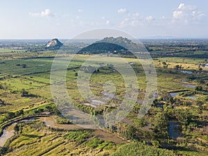 Arial view of sugarcane fields growing in afternoon with shadow of cloud and nature background. concept agriculture