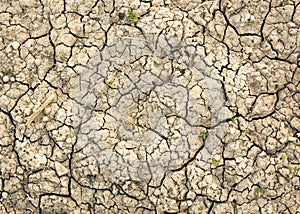 Arid conditions