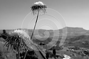 Arid countryside