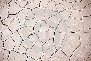 Arid cracked earth photo