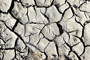 Arid cracked soil as background.