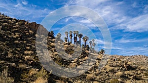 Arid desert on background of a beautiful cloudscape in the blue sky