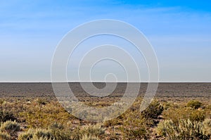 Arid desert of La Pampa, Argentina