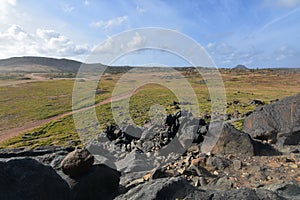 Arid Desert Landscape with a Network of Roads