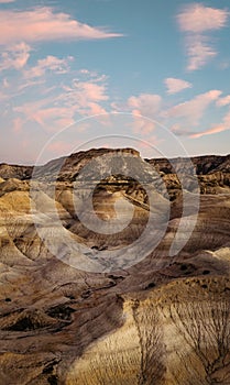 Arid desert landscape in yellow badlands during sunset. Valley of the Moon. Vertical photography