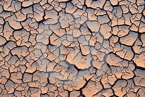 Arid and dry cracked land