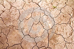 Arid earth