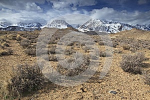 Arid foothills of Sierra Nevada mountains