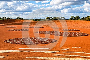 Arid Garden at Royal Botanic Gardens in Cranbourne.