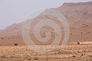 Arid and hot day in the desert of Sahara, Tata