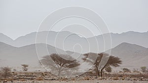 Arid and hot day in the desert of Sahara, Tata