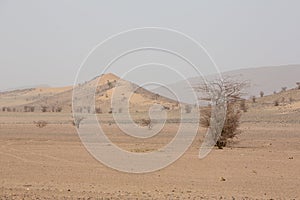 Arid and hot day in the desert of Sahara, Tata photo