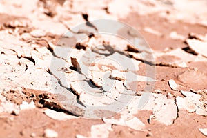 Arid land cracked and broken by heat and drought in a close up and ground level photo