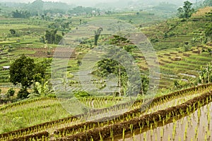 Arid lands around Dieng plateu, Java, Indonesia