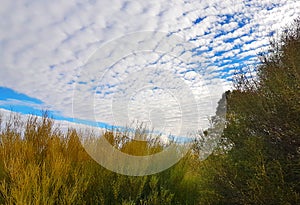 Arid Lands Desert Sky