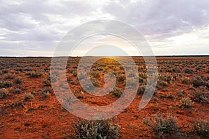 Arid Lands, Roxy Downs, outback South Australia