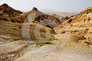 Arid landscape photo