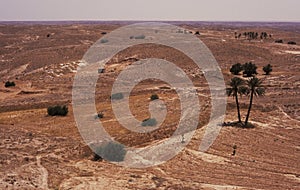 Arid landscape photo