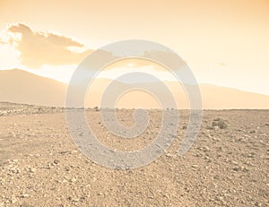 Arid landscape