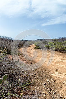 Arid Landscape