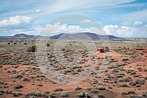 an arid landscape with mountains in the background and a tree in the foreground