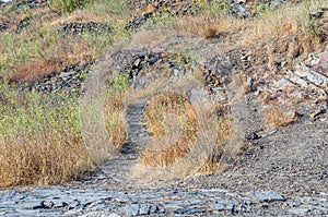 Arid landscape near the village of Patones de Arriba, Spain photo