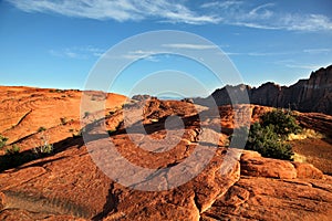 The arid landscape of Snow Canyon State Park in Utah