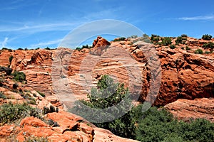 The arid landscape of Snow Canyon State Park in Utah