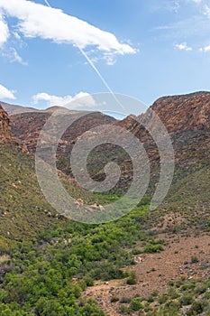 Arid mountain landscape with green plants in the mountain valley