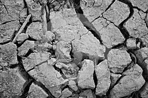 Arid nature. Closeup Crack soil black and white texture