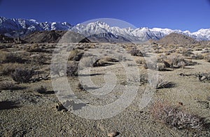 Arid Owens Valley and Sierra Nevada mountains photo