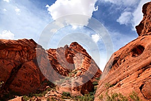 The arid red rock landscape of Snow Canyon State Park in Utah