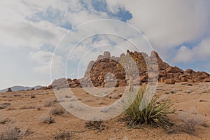 Arid Richtersveld