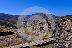 Arid rural landscape on Tinos island