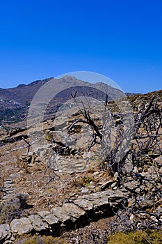 Arid rural landscape on Tinos island