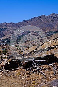 Arid rural landscape on Tinos island