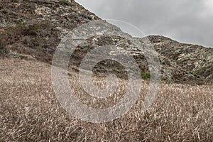 Arid Santa Rosa Island