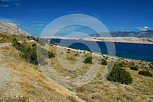 Arid shoreline with some durable shrubs and grass near Sveta Maria beach on Pag island, northern Dalmatia, Croatia, Adriatic