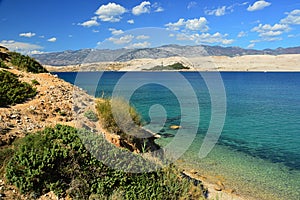 Arid shoreline with some durable shrubs and grass near Sveta Maria beach on Pag island, northern Dalmatia, Croatia, Adriatic.