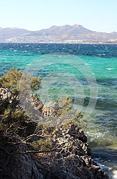 Arid shrubs on rocky shore along the hiking trail on Bodrum coast of Gokova Gulf in Turkey.