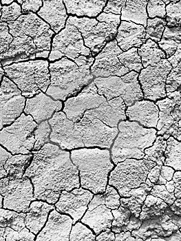 The arid soil