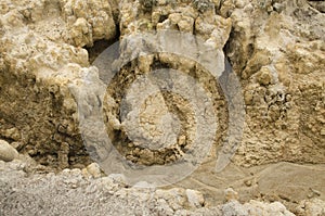 Arid soil, dry yellowish sand