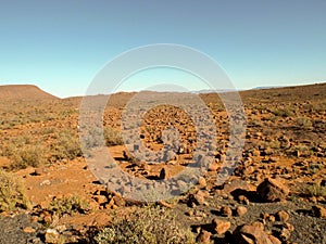 Arid stony landscape in the Karoo National Park, South Africa