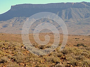 Arid stony landscape in the Karoo National Park, South Africa