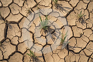 Arid summer scene parched ground, cracked and devoid of moisture
