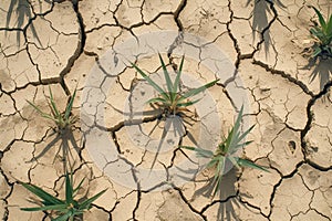 Arid summer scene parched ground, cracked and devoid of moisture