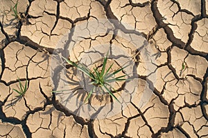 Arid summer scene parched ground, cracked and devoid of moisture